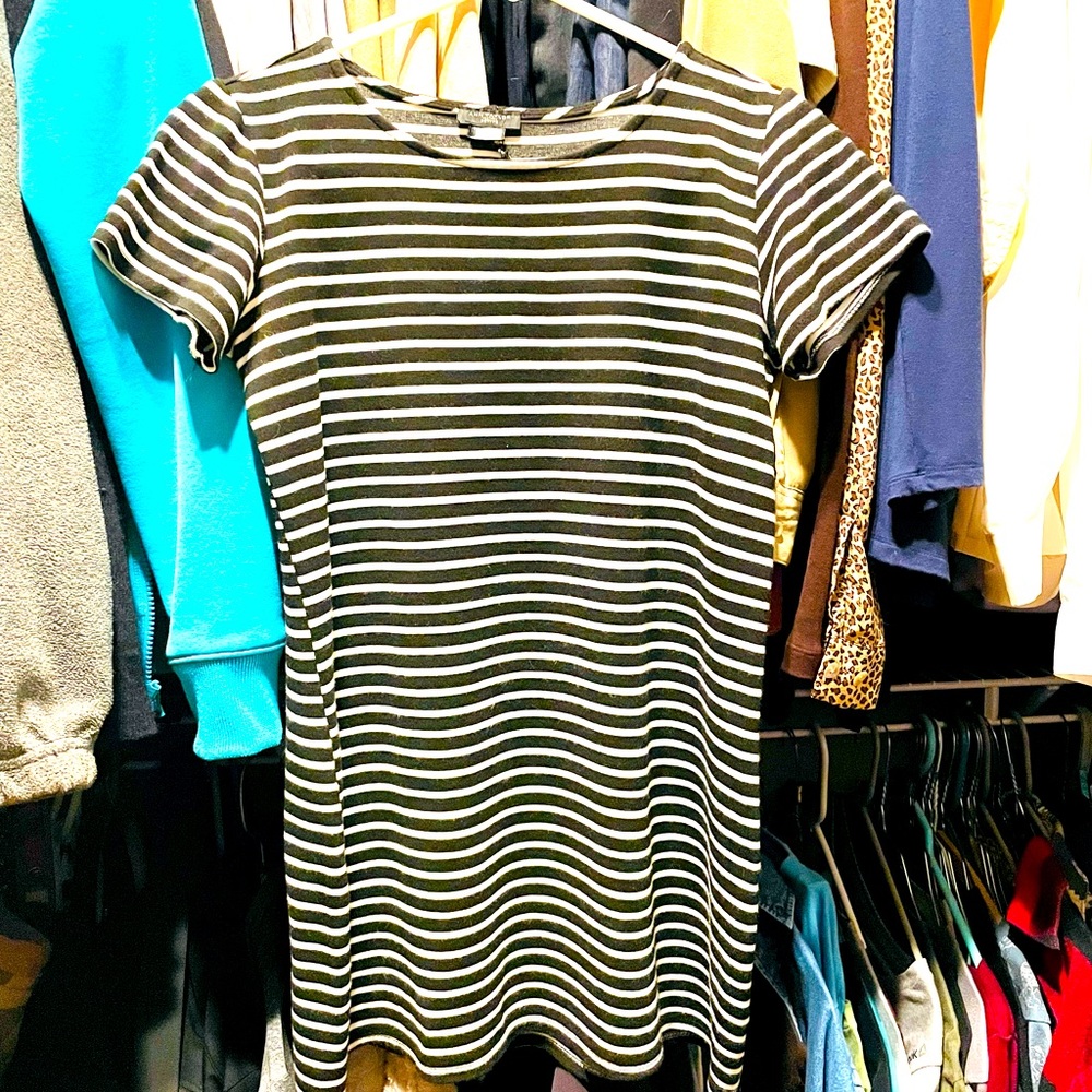 Women’s, Ann Taylor Dress, SP